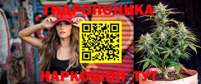 тгк Лениногорск