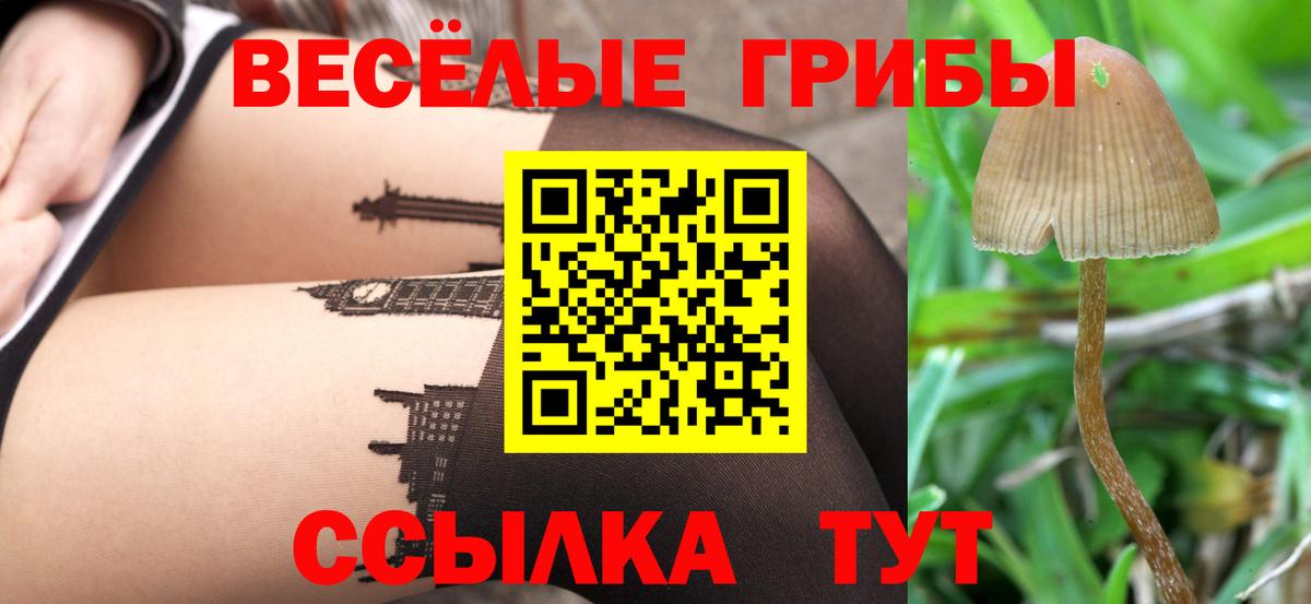 Галлюциногенные грибы Psilocybe Нижневартовск