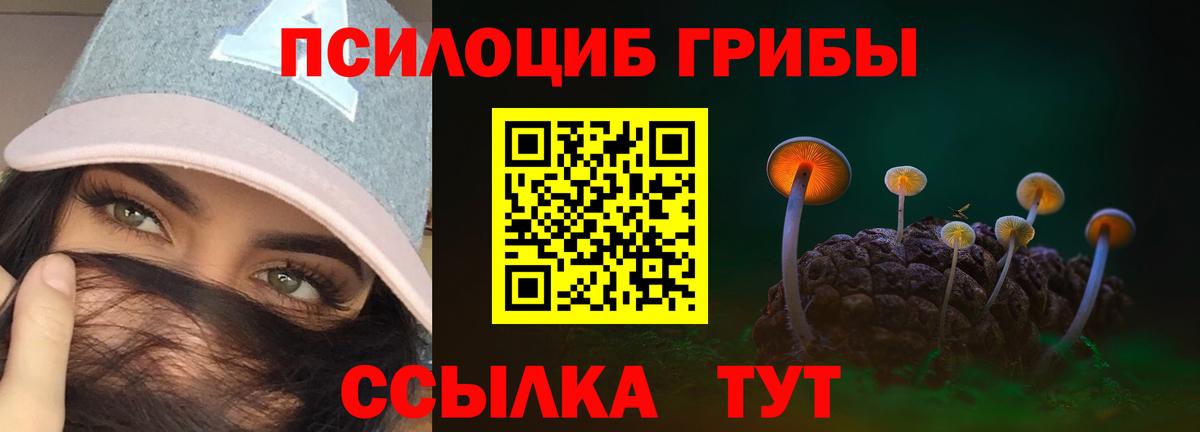 Нижневартовск  где продают наркотики  Вход с VPN  Галлюциногенные грибы Psilocybe 